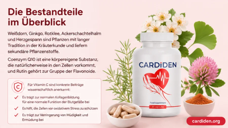 Cardiden — Bestandteile der Rezeptur